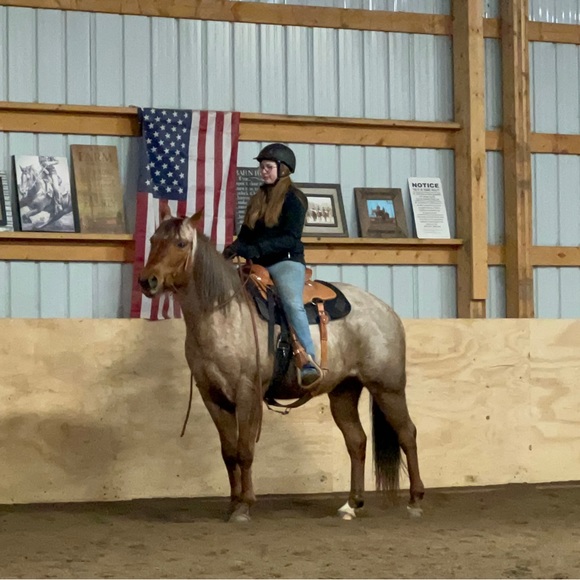 Meet your Posher, Morgan - Picture 2 of 16